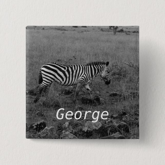 Afrika Kenia Zebra in freier Wildbahn Button (Vorderseite)