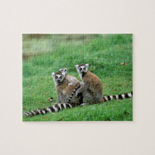 Afrika, Madagaskar, Antananarivo, Tsimbazaza