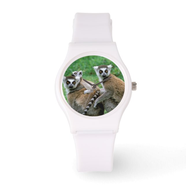 Afrika, Madagaskar, Antananarivo, Tsimbazaza Armbanduhr (Vorderseite)