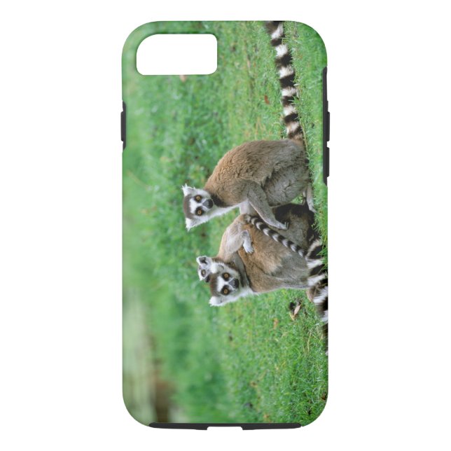 Afrika, Madagaskar, Antananarivo, Tsimbazaza Case-Mate iPhone Hülle (Rückseite)