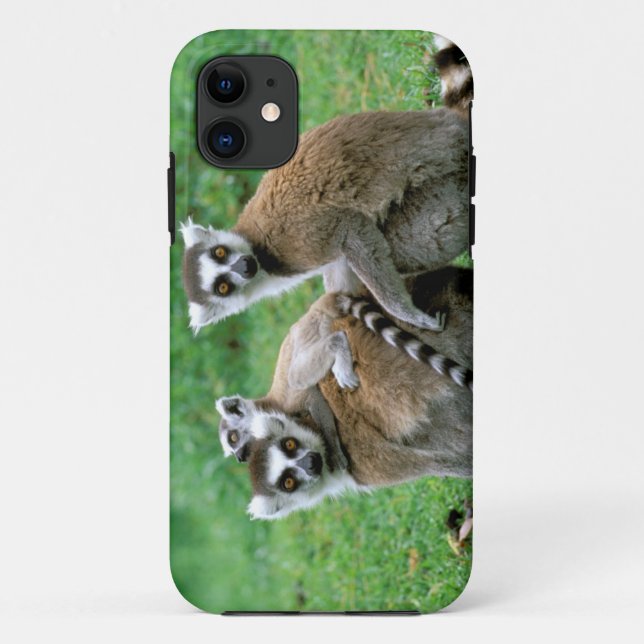 Afrika, Madagaskar, Antananarivo, Tsimbazaza Case-Mate iPhone Hülle (Rückseite)