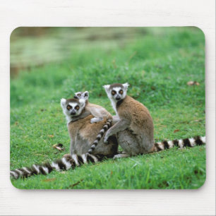 Afrika, Madagaskar, Antananarivo, Tsimbazaza Mousepad