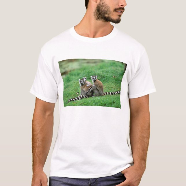 Afrika, Madagaskar, Antananarivo, Tsimbazaza T-Shirt (Vorderseite)
