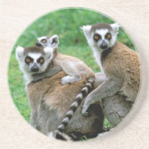Afrika, Madagaskar, Antananarivo, Tsimbazaza Untersetzer