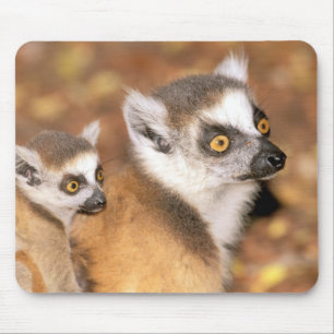 Afrika, Madagaskar, Berenty Private Reserve. Mousepad