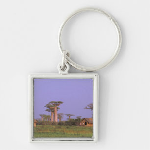 Afrika, Madagaskar, Morondava. Baobabs Schlüsselanhänger
