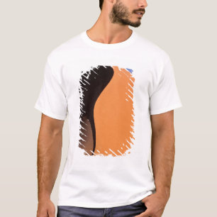 Afrika, Namibia, Abendlicht auf Dünen, T-Shirt