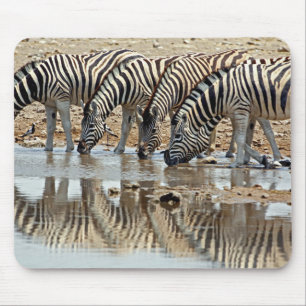 Afrika, Namibia, Etosha NP. Steppenzebra Mousepad