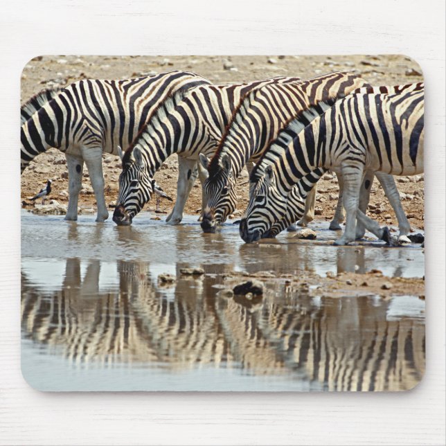 Afrika, Namibia, Etosha NP. Steppenzebra Mousepad (Vorne)