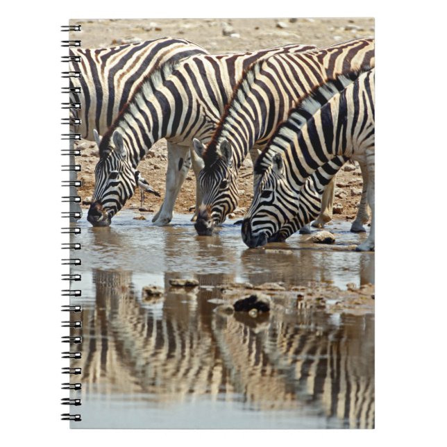 Afrika, Namibia, Etosha NP. Steppenzebra Notizblock (Vorderseite)