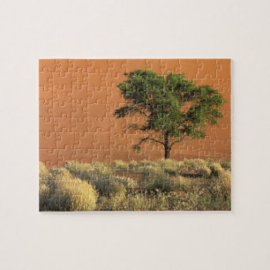 Afrika, Namibia, Namib-Nationalpark, Sossusvlei