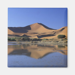 Afrika, Namibia, Namib-Nationalpark, Sossusvlei 2 Magnet