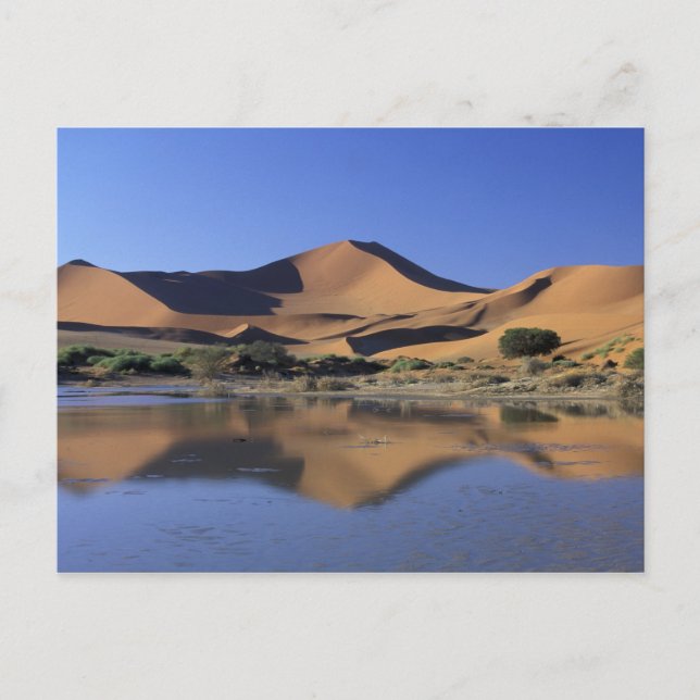 Afrika, Namibia, Namib-Nationalpark, Sossusvlei 2 Postkarte (Vorderseite)