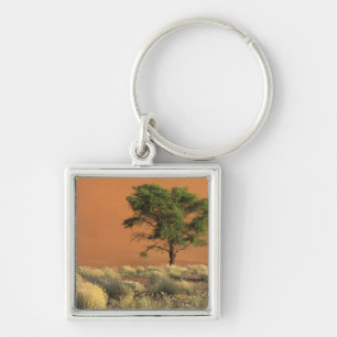 Afrika, Namibia, Namib-Nationalpark, Sossusvlei Schlüsselanhänger