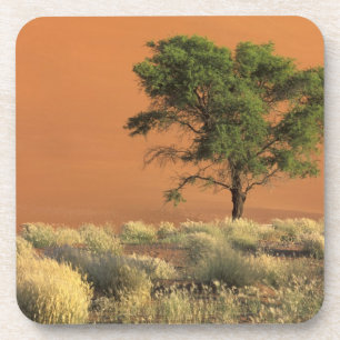 Afrika, Namibia, Namib-Nationalpark, Sossusvlei Untersetzer