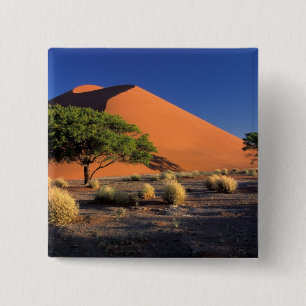 Afrika, Namibia, Namib-Naukluff-Park, Sossosvlei Button