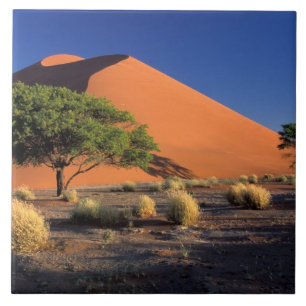 Afrika, Namibia, Namib-Naukluff-Park, Sossosvlei Fliese
