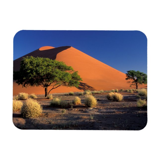 Afrika, Namibia, Namib-Naukluff-Park, Sossosvlei Magnet (Horizontal)