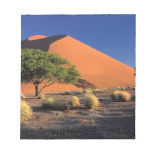 Afrika, Namibia, Namib-Naukluff Park, Sossosvlei Notizblock