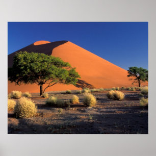 Afrika, Namibia, Namib-Naukluff-Park, Sossosvlei Poster