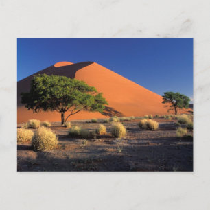 Afrika, Namibia, Namib-Naukluff-Park, Sossosvlei Postkarte