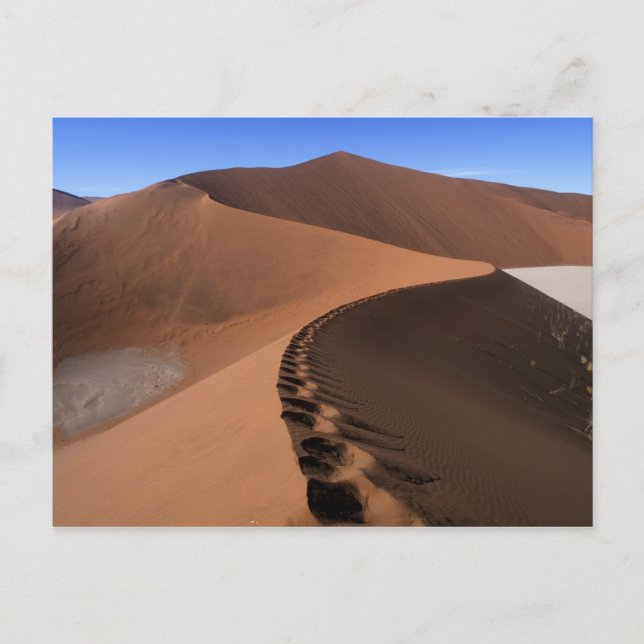 Afrika, Namibia, Namib Naukluft National Park, 2 Postkarte (Vorderseite)