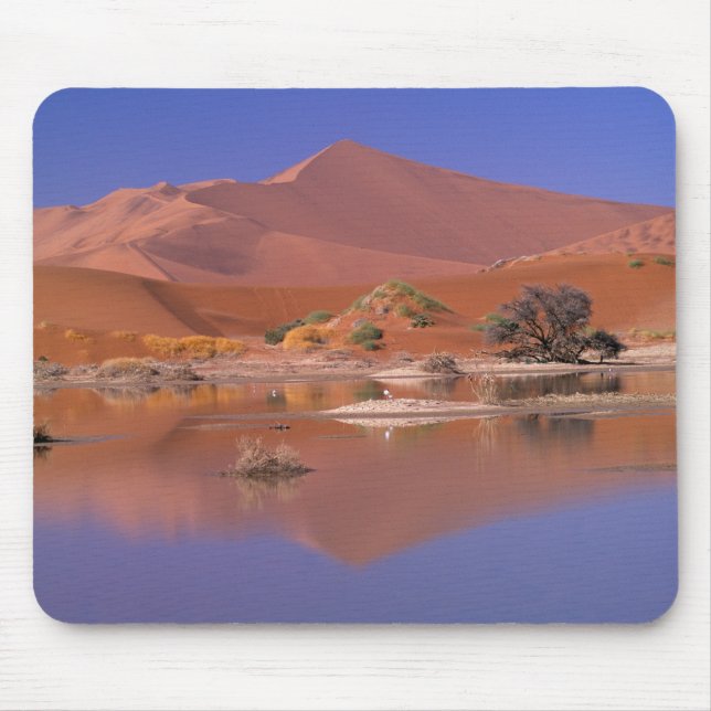 Afrika, Namibia. Namib-Naukluft-Park. 2 Mousepad (Vorne)