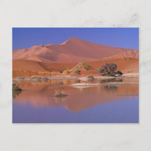 Afrika, Namibia. Namib-Naukluft Park. 2 Postkarte