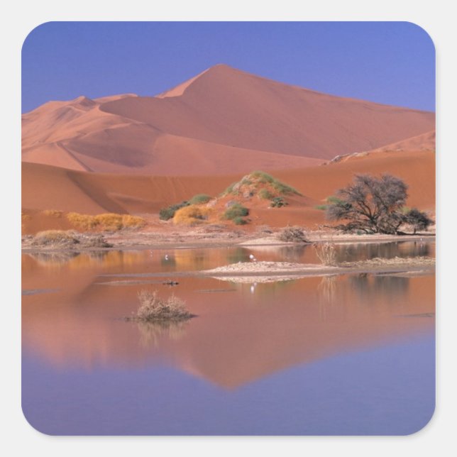Afrika, Namibia. Namib-Naukluft Park. 2 Quadratischer Aufkleber (Vorderseite)