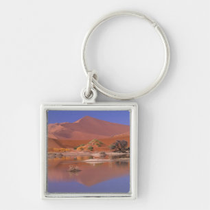 Afrika, Namibia. Namib-Naukluft-Park. 2 Schlüsselanhänger