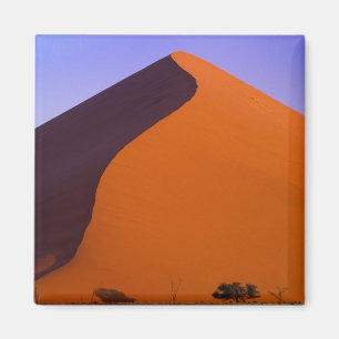 Afrika, Namibia, Namib NP, Sossusvlei, Sand Magnet