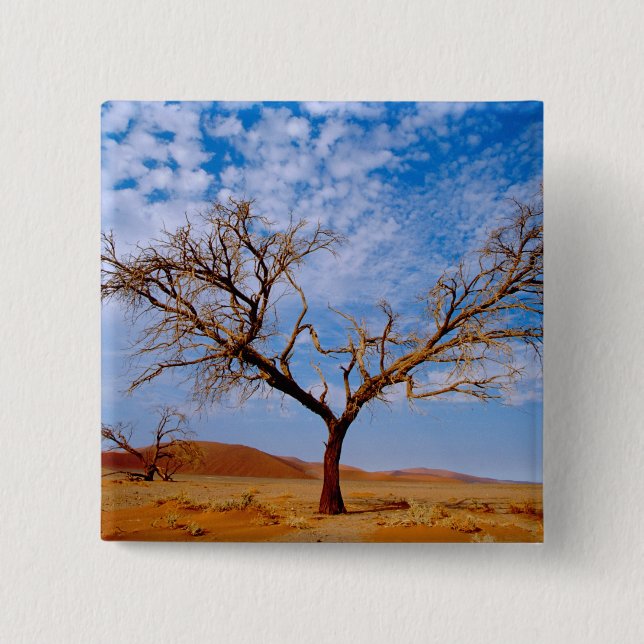 Afrika, Namibia, Naukluft-Nationalpark, Button (Vorderseite)