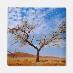 Afrika, Namibia, Naukluft-Nationalpark, Magnet