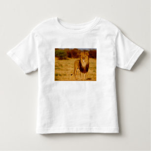 Afrika, Namibia, Okonjima. Löwe Kleinkind T-shirt