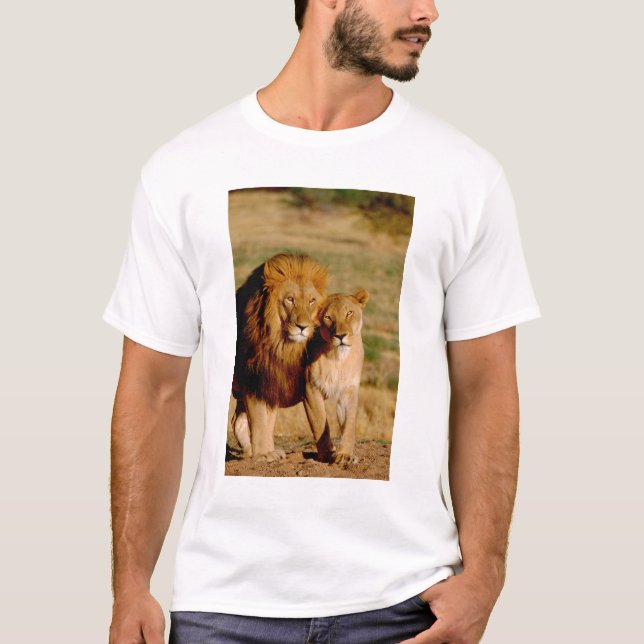 Afrika, Namibia, Okonjima. Löwe T-Shirt (Vorderseite)