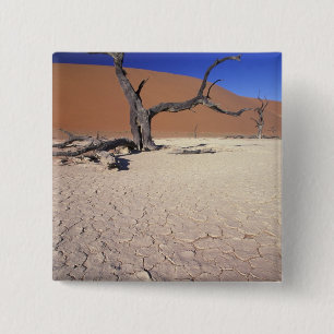Afrika, Namibia, Sossusvlei Region. Sanddünen Button
