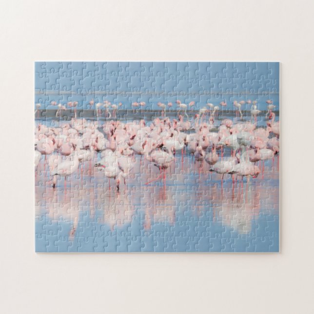 Afrika, Namibia, Walvis Bay (Horizontal)