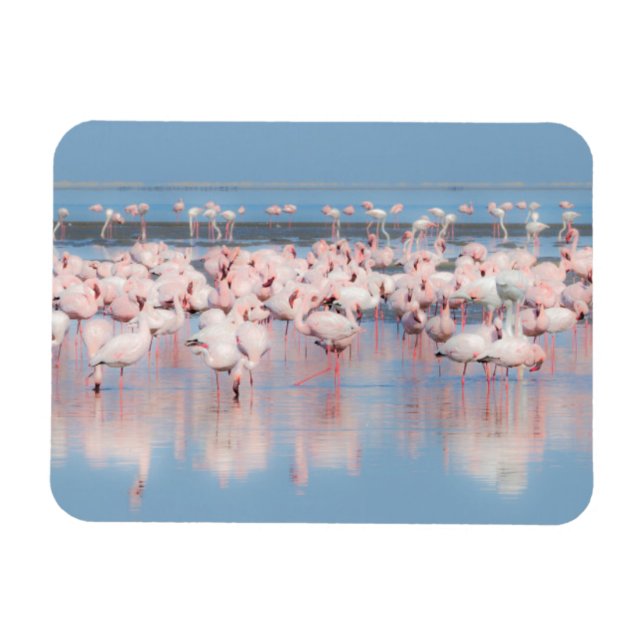 Afrika, Namibia, Walvis Bay Magnet (Horizontal)