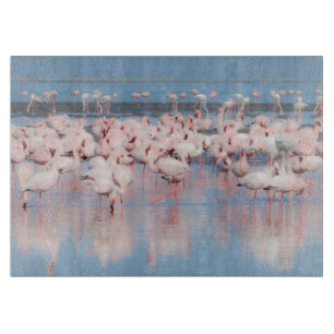 Afrika, Namibia, Walvis Bay Schneidebrett