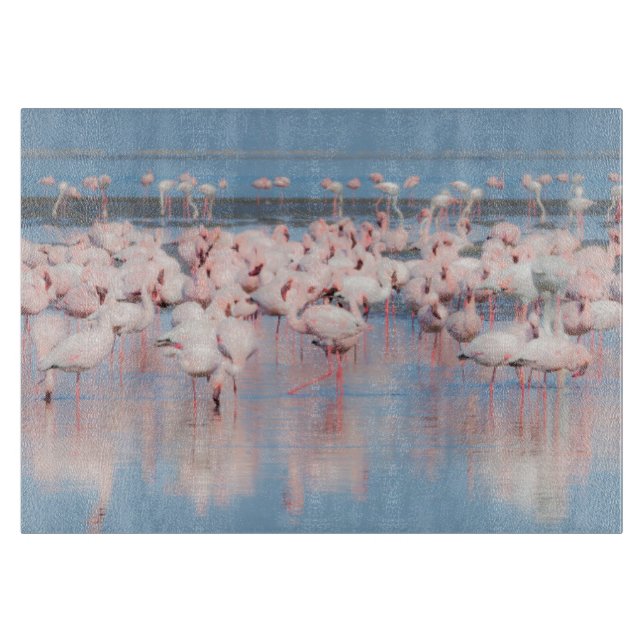 Afrika, Namibia, Walvis Bay Schneidebrett (Vorderseite)