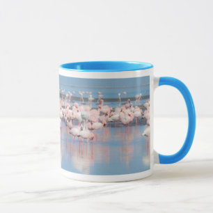 Afrika, Namibia, Walvis Bay Tasse