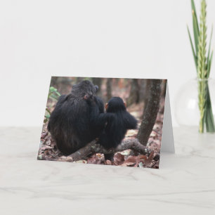 Afrika, Ostafrika, Tansania, Gombe Karte