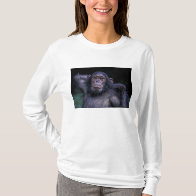 Afrika, Ostafrika, Tansania, Gombe National 3 T-Shirt (Vorderseite)