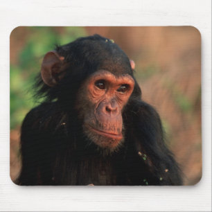 Afrika, Ostafrika, Tansania Mousepad