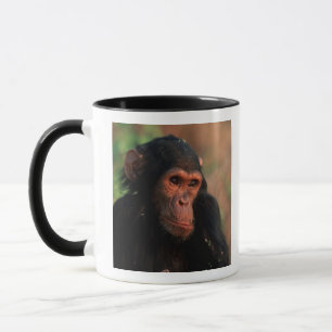 Afrika, Ostafrika, Tansania Tasse