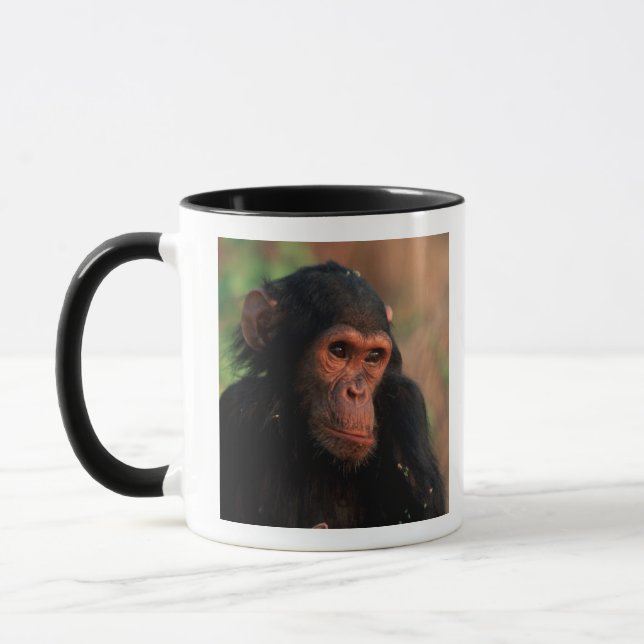 Afrika, Ostafrika, Tansania Tasse (Links)