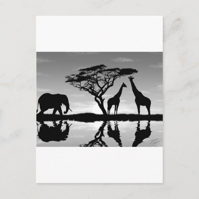 Afrika Postkarte (Vorderseite)