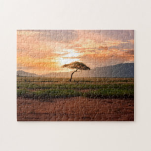 Afrika Safari Savannah Wüstenbaum Sonnenuntergang