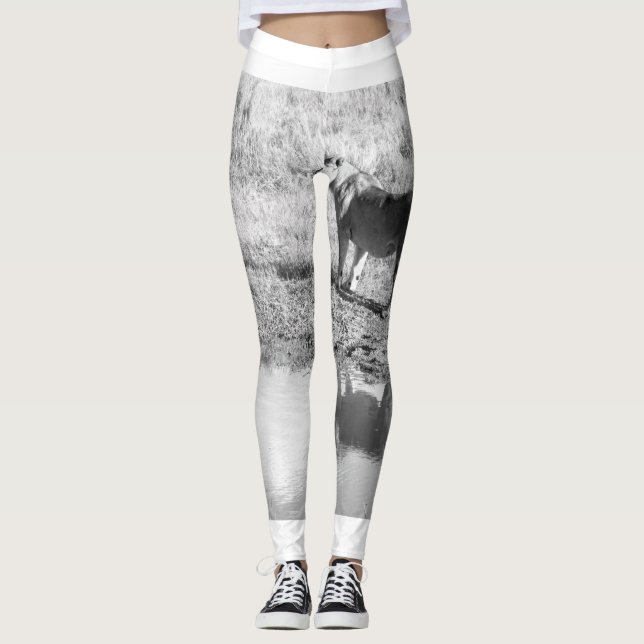 Afrika - Schwarz und Weiß - Löwenreflektion Leggings (Vorderseite)