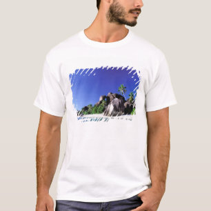 Afrika, Seychellen, La Digue-Insel. Granit 3 T-Shirt